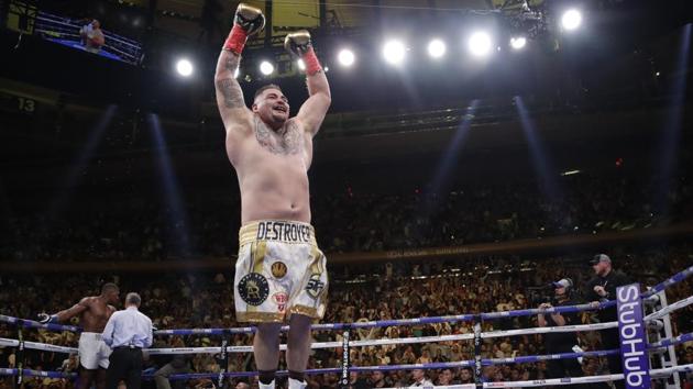 Mexican American Andy Ruiz celebrates after stopping Britain's Anthony Joshua.(AP) Mexican American Andy Ruiz celebrates after stopping Britain's Anthony Joshua.(AP)