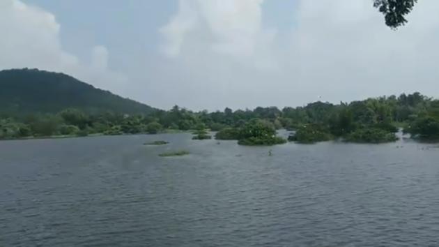 The lake is located inside Chennai’s Arignar Anna Zoological Park. (Twitter/@SudhaRamenIFS) The lake is located inside Chennai’s Arignar Anna Zoological Park. (Twitter/@SudhaRamenIFS)