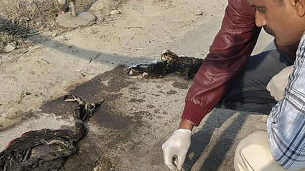 Forensic experts investigate at the site where a rape victim was allegedly set ablaze by five men at Sindupur village in Unnao district. (PTI) Forensic experts investigate at the site where a rape victim was allegedly set ablaze by five men at Sindupur village in Unnao district. (PTI)