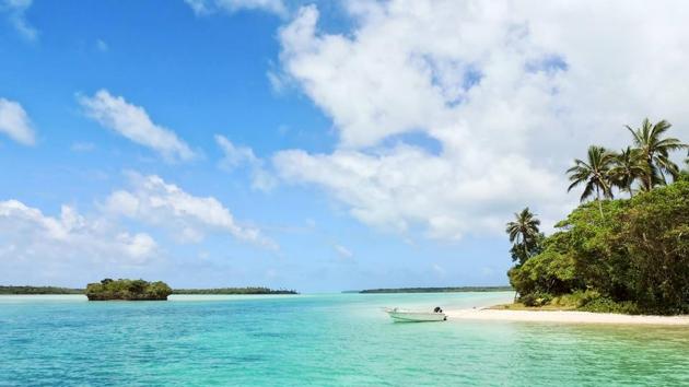 Redefining romance: Here is how you can enjoy scenic beauty in Jamaica.(Unsplash) Redefining romance: Here is how you can enjoy scenic beauty in Jamaica.(Unsplash)