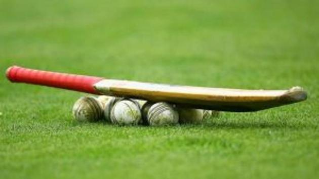 Representational image of cricket.(File) Representational image of cricket.(File)
