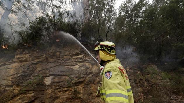 A firefighter controls the edge of a fire burning near Mangrove Mountain, north of Sydney(AP) A firefighter controls the edge of a fire burning near Mangrove Mountain, north of Sydney(AP)