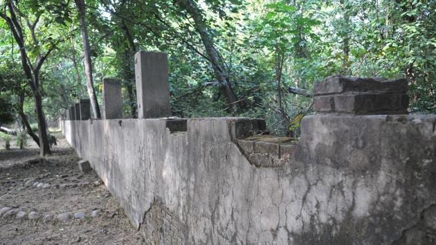 Appalling condition of the wall fencing at the botanical garden in Panjab University.(Ravi Kumar/HT)