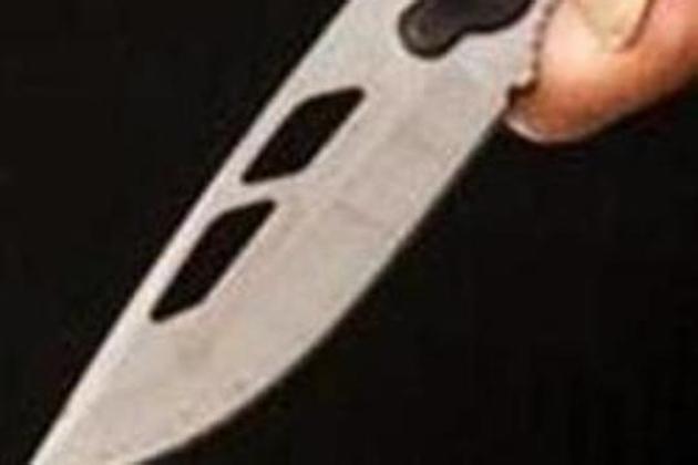 The incident took place when the nurse was going to work at government hospital, Dehlon (HT File Photo) The incident took place when the nurse was going to work at government hospital, Dehlon (HT File Photo)