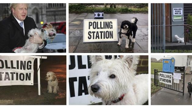 In this six photo combo image, showing dogs outside polling stations, as dogs and British people go out in the winter to vote, at various places during Britain's general election Thursday(AP)