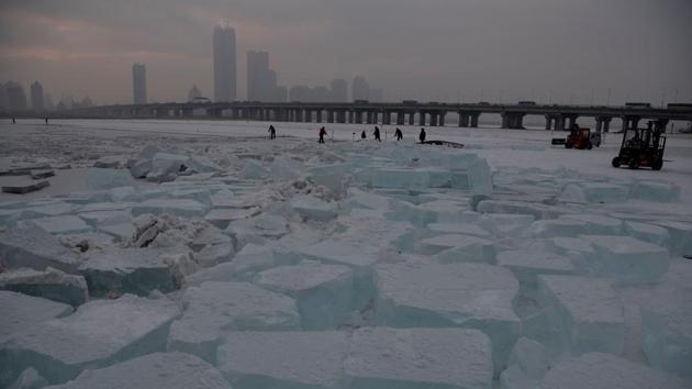 Liu and his team are among more than 100 people who work on the Songhua River to harvest the 170,000 cubic metres of ice bricks needed this year -- enough to fill 70 Olympic swimming pools. Every year, a worker slips into the frigid water. But that’s a risk farmers are willing to take to earn extra money during the harsh winter by harvesting the pieces used to make crystal palaces and sculptures at the Harbin Ice and Snow Festival. (Noel Celis / AFP)