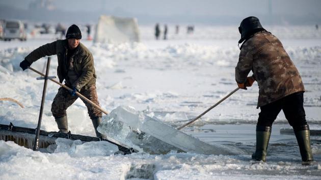 Workers guide an ice block onto a conveyor belt on the frozen Songhua river. Liu’s team cuts out 2,000 pieces of ice every day for about three weeks, arriving before sunrise and leaving after sunset. The farmers, who grow corn and soybeans the rest of the year, get paid 2.5 yuan ($0.35) for each of the 1.6-metre-long, 400-kilo (5-foot long, 900-pound) rectangles of ice they produce for the festival, which will open before the New Year. (Noel Celis / AFP)