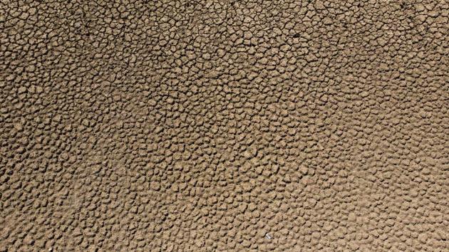 An aerial view of the Adelaide Dam with 0% water level. “This is a disaster,” said Bothma, 51, who in his three decades working the land has never seen such dry weather. “Older people who are 70 or 80 years old would tell you exactly the same thing,” he added. Southern Africa is grappling with one of the worst droughts in decades. (Guillem Sartorio / AFP) An aerial view of the Adelaide Dam with 0% water level. “This is a disaster,” said Bothma, 51, who in his three decades working the land has never seen such dry weather. “Older people who are 70 or 80 years old would tell you exactly the same thing,” he added. Southern Africa is grappling with one of the worst droughts in decades. (Guillem Sartorio / AFP)