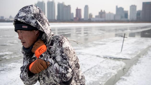 A worker drags ice blocks on the frozen Songhua river. Liu is the team leader among a group of farmers who drive from Harbin’s countryside to arrive at the river before 5:00 am every morning. Resembling farmers ploughing a field, they use a large motorised saw to cut the icy surface into 220-metre-long, 190-metre wide grids bigger than two football fields. They slice the area into rectangles until the surface looks like a bar of ice chocolate. (Noel Celis / AFP)