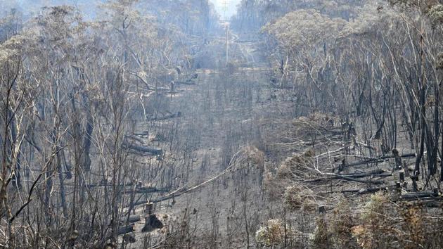 A view of the landscape with burnt trees after a bushfire in Mount Weison in Blue Mountains, some 120 kilometres northwest of Sydney on December 18, 2019. Australia this week experienced its hottest day on record and the heatwave is expected to worsen, exacerbating an already unprecedented bushfire season. (Saeed Khan / AFP) A view of the landscape with burnt trees after a bushfire in Mount Weison in Blue Mountains, some 120 kilometres northwest of Sydney on December 18, 2019. Australia this week experienced its hottest day on record and the heatwave is expected to worsen, exacerbating an already unprecedented bushfire season. (Saeed Khan / AFP)