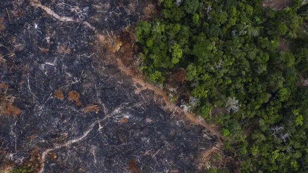 Over the past two decades, soy was increasingly planted along the northern part of BR-163. On one side of the highway is the Tapajos national forest, and farmland on the other. Fires burn here and there. Manoel de Souza, 59, who coordinates the Tapajos forest’s federation of traditional communities said, “Soy is also important, but it should be ordered so that they aren’t on top of one another, impacting each other.” (Leo Correa / AP)
