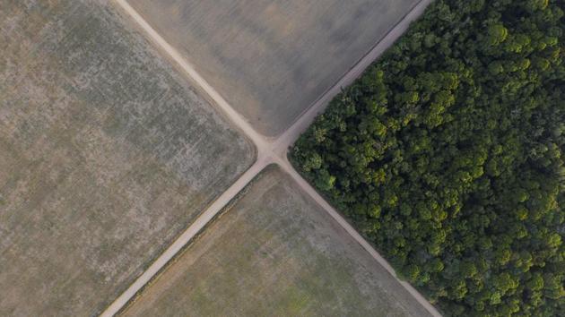 A fragment of Amazon rainforest stands next to soy fields in Belterra, Para state. Brazil’s President Jair Bolsonaro won last year’s election with support from farmers, truckers and miners by resurrecting the dictatorship-era desire to develop the tropical rainforest. But he did so at a different stage of human history, one where scientists recognize the Amazon must remain to suck carbon from the air and help arrest climate change. (Leo Correa / AP)