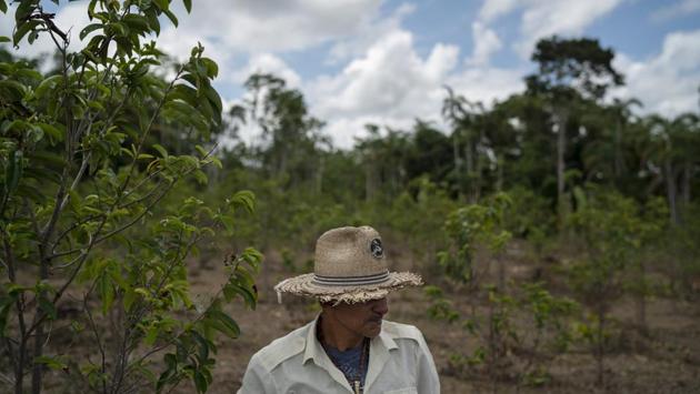 Photos: Brazil’s Amazon at a crossroads of preservation or development ...