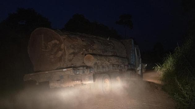 A logging truck without license plates carries the trunk of a giant tree on a dirt road away from Trairao National Forest in Trairao, Para state, Brazil. Night after night, truckers chug along the darkened road to their turn-off into the woods, where they deliver their cargo. By morning, the logs are laid out for hewing at the remote sawmill, its corrugated metal roof hardly visible from the highway. (Leo Correa / AP)