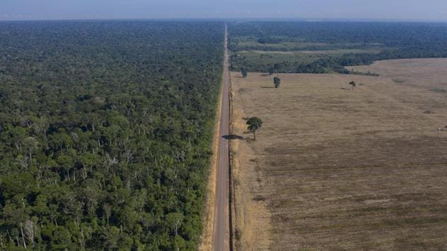 BR-163 stretches between the Tapajos National Forest (L), and a soy field in Belterra. At the start of Bolsonaro’s administration, only 32 miles of BR-163 remained to be paved. His government last month finished paving the soy corridor. The decades-delayed achievement is the first of major public works to come, Infrastructure Minister Tarcísio de Freitas said. They include a $3 billion grain railway alongside BR-163. (Leo Correa / AP)