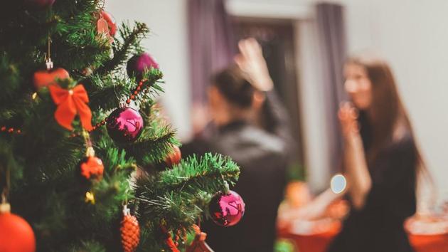 Christmas 2019: Whether you spend Christmas at home with your close ones or decide to have some fun at a party, you will find plum cakes everywhere.(Unsplash)