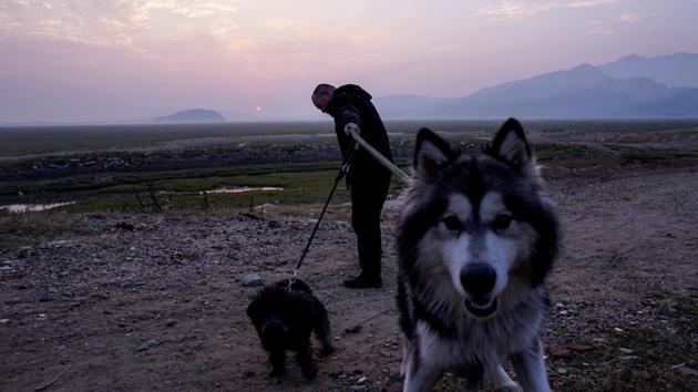 A man walks his dogs on the dried lake bed. Even before the Three Gorges Dam and the sand mining boom, the lake had already shrunk considerably as a result of an earlier campaign to reclaim farmland and curb floods through the use of dykes and diversions. (Aly song / REUTERS) A man walks his dogs on the dried lake bed. Even before the Three Gorges Dam and the sand mining boom, the lake had already shrunk considerably as a result of an earlier campaign to reclaim farmland and curb floods through the use of dykes and diversions. (Aly song / REUTERS)