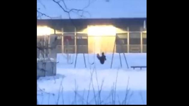 The video of a man on a swing has left netizens scratching their heads.(Twitter/@esnycuddles)
