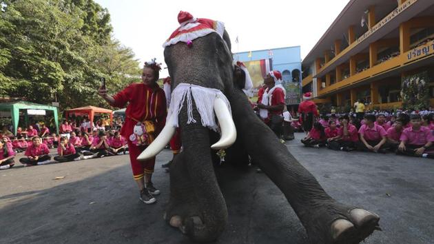 A mahout takes a photo with an elephant dressed in a Santa Claus costume during a celebration. (AP)
