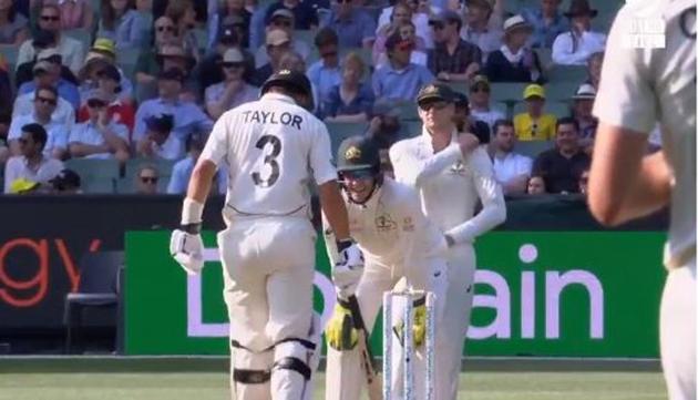 Tim Paine sledges Ross Taylor(Screen grab Cricket Australia)