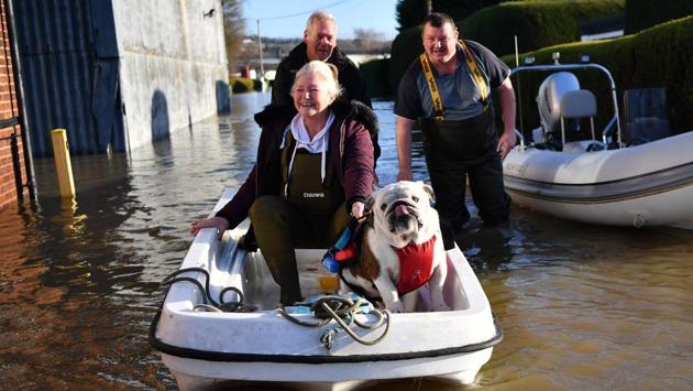 Reggie the dog is rescued with a boat from flooding following heavy rain at the Little Venice Country Park and Marina in Maidstone, southeast of London, England. (Ben Stansall / AFP) Reggie the dog is rescued with a boat from flooding following heavy rain at the Little Venice Country Park and Marina in Maidstone, southeast of London, England. (Ben Stansall / AFP)