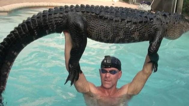 Paul Bedard, who is contracted with the state’s nuisance alligator program, responded to a call of a gator in a swimming pool in Parkland.((Instagram/gatorboysalligatorrescue))