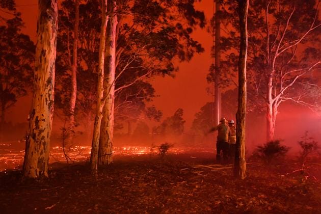 Firefighters inspect the area as they battle against bushfires around the town of Nowra in the Australian state of New South Wales. Thousands of holidaymakers and locals were forced to flee to beaches in fire-ravaged southeast Australia on Tuesday as blazes ripped through popular tourist areas leaving no escape by land. (Saeed Khan/AFP) Firefighters inspect the area as they battle against bushfires around the town of Nowra in the Australian state of New South Wales. Thousands of holidaymakers and locals were forced to flee to beaches in fire-ravaged southeast Australia on Tuesday as blazes ripped through popular tourist areas leaving no escape by land. (Saeed Khan/AFP)