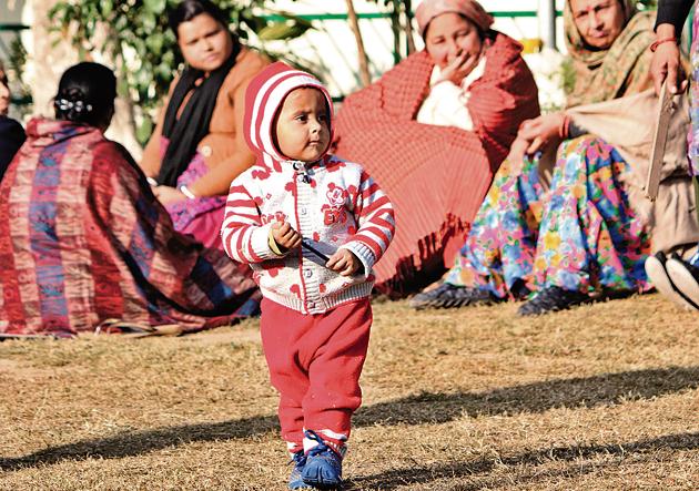 A child playing in the sun at a park in Mohali on Tuesday. Maximum temperature rose to 16.6°C during the day. (Gurminder Singh/H) A child playing in the sun at a park in Mohali on Tuesday. Maximum temperature rose to 16.6°C during the day. (Gurminder Singh/H)