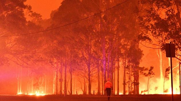 A firefighter walks past burning trees during a battle against bushfires around the town of Nowra. AFP reports that authorities had for days been warning tens of thousands of tourists enjoying Australia’s summer holidays to leave the area but for thousands it was now too late to leave. Temperatures in bushfire areas can hit hundreds of degrees Celsius (Fahrenheit) killing anyone nearby long before the flames reach them. (Saeed Khan/AFP) A firefighter walks past burning trees during a battle against bushfires around the town of Nowra. AFP reports that authorities had for days been warning tens of thousands of tourists enjoying Australia’s summer holidays to leave the area but for thousands it was now too late to leave. Temperatures in bushfire areas can hit hundreds of degrees Celsius (Fahrenheit) killing anyone nearby long before the flames reach them. (Saeed Khan/AFP)