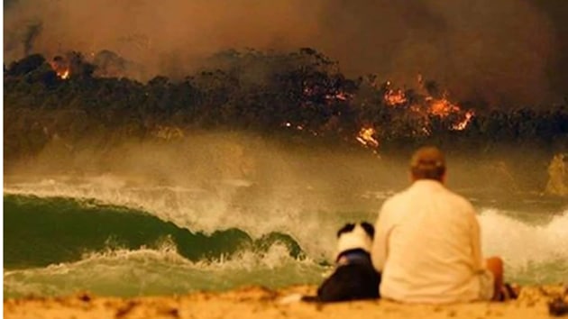 David Warner expressed respect for firefighters and volunteers(David Warner/Instagram)