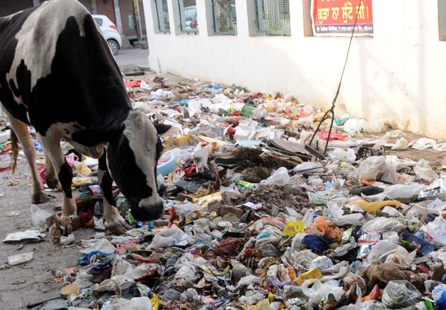 Of total 230 tonne garbage that is being collected on daily basis from across Patiala, 80 tonne consists of plastic and polythene waste. (HT PHOTO) Of total 230 tonne garbage that is being collected on daily basis from across Patiala, 80 tonne consists of plastic and polythene waste. (HT PHOTO)
