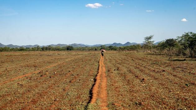A woman walks along a path formed in the fallow fields in in Zvishavane. AFP reports that galloping inflation has wiped out savings, and most of the country’s 14.4 million inhabitants have been unable to keep up with rising prices. A World Food Programme (WFP) survey found that 77 percent of people in urban areas could no longer afford a standard meal. (ZINYANGE AUNTONY / AFP) A woman walks along a path formed in the fallow fields in in Zvishavane. AFP reports that galloping inflation has wiped out savings, and most of the country’s 14.4 million inhabitants have been unable to keep up with rising prices. A World Food Programme (WFP) survey found that 77 percent of people in urban areas could no longer afford a standard meal. (ZINYANGE AUNTONY / AFP)