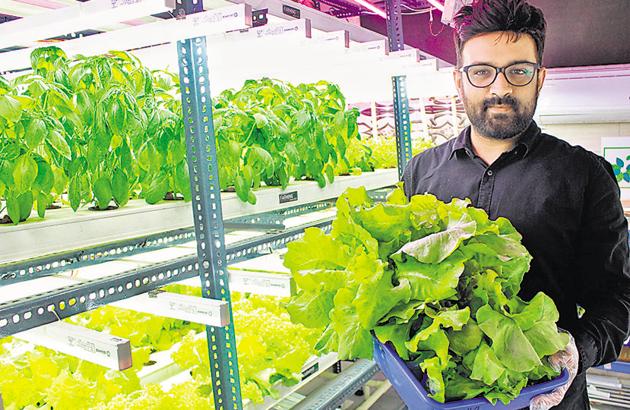 Rohit Nagdewani currently has a 6,600 sqft indoor farm.(HT/PHOTO) Rohit Nagdewani currently has a 6,600 sqft indoor farm.(HT/PHOTO)