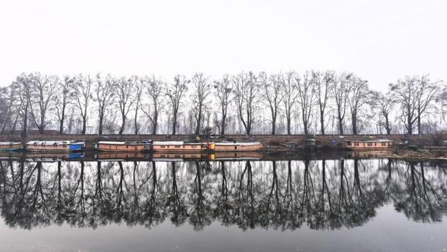 Chinar trees are reflected in waters of the Dal Lake in Srinagar, Jammu and Kashmir. (Waseem Andrabi / HT Photo)