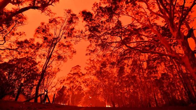 The afternoon sky glows red from bushfires in the area around the town of Nowra in the Australian state of New South Wales. Thousands of holidaymakers and locals were forced to flee to beaches in fire-ravaged southeast Australia on December 31, as blazes ripped through tourist areas leaving no escape by land. (Saeed Khan / AFP) The afternoon sky glows red from bushfires in the area around the town of Nowra in the Australian state of New South Wales. Thousands of holidaymakers and locals were forced to flee to beaches in fire-ravaged southeast Australia on December 31, as blazes ripped through tourist areas leaving no escape by land. (Saeed Khan / AFP)