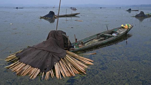 Harpoons are placed near a frozen portion of Anchar Lake to catch fish, on the outskirts of Srinagar. (Tauseef Mustafa / AFP)