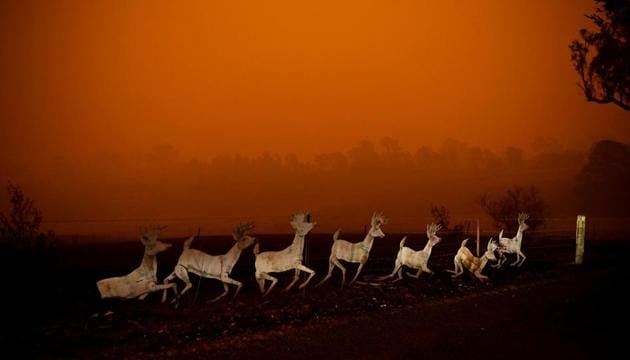 Christmas decorations are seen nearby a destroyed house in Cobargo, as bushfires continue in New South Wales, Australia January 5, 2020.(REUTERS)