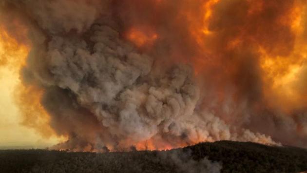 Smoke billows during bushfires in Bairnsdale, Victoria. The fires raging across Australia have had a devastating impact on the country’s unique flora and fauna, with some estimates putting the death toll at nearly half a billion animals in one state alone, and experts believe it could take decades for wildlife to recover. (Glen Morey/REUTERS) Smoke billows during bushfires in Bairnsdale, Victoria. The fires raging across Australia have had a devastating impact on the country’s unique flora and fauna, with some estimates putting the death toll at nearly half a billion animals in one state alone, and experts believe it could take decades for wildlife to recover. (Glen Morey/REUTERS)