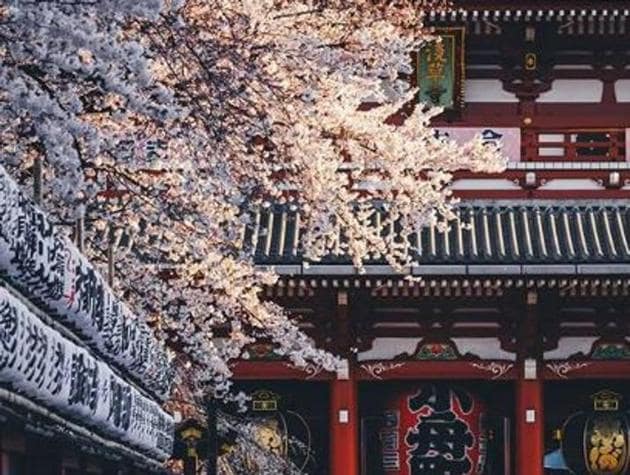 Asakusa Shrine in Tokyo. (Instagram/_tuck4) 