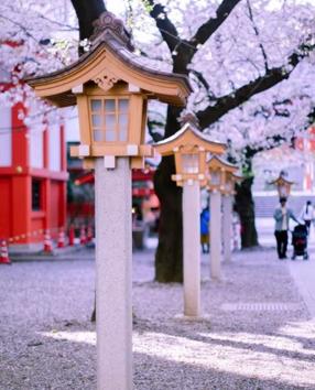 Hanazono Shrine in Tokyo. (instagram/_tuck4) 