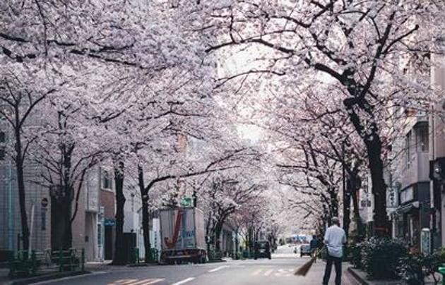 Nihonbashi streets in the morning light. (instagram/_tuck4) 