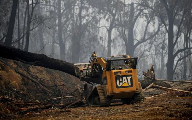 Workers clear fallen trees to prevent hazards and road blockage in the fire-grounds near Eden, Australia January 7, 2020. (REUTERS) Workers clear fallen trees to prevent hazards and road blockage in the fire-grounds near Eden, Australia January 7, 2020. (REUTERS)