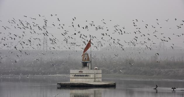 File Photo of Yamuna River(Sonu Mehta/HT PHOTO) File Photo of Yamuna River(Sonu Mehta/HT PHOTO)