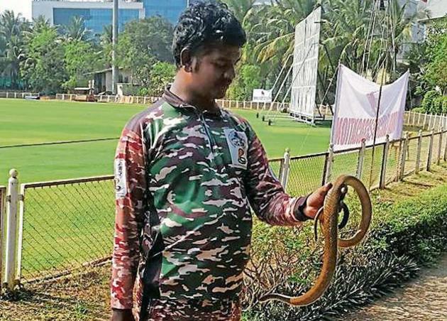 Snake-catcher Atul Kamble with a rat snake at the BKC ground.(HT Photo)