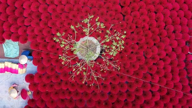 A Vietnamese woman collects dried incense sticks at a courtyard in Quang Phu Cau village on the outskirts of Hanoi ahead of the upcoming Lunar New Year celebrations, referred to in Vietnam as Tet. (Manan Vatsyayana / AFP) A Vietnamese woman collects dried incense sticks at a courtyard in Quang Phu Cau village on the outskirts of Hanoi ahead of the upcoming Lunar New Year celebrations, referred to in Vietnam as Tet. (Manan Vatsyayana / AFP)