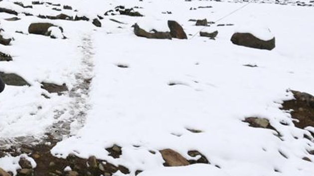 A young man has told how he survived for more than three weeks in the snowy wilderness of Alaska after his remote cabin burned down when he mistakenly put cardboard in his stove. (Waseem Andrabi / Hindustan Times (Representative)) A young man has told how he survived for more than three weeks in the snowy wilderness of Alaska after his remote cabin burned down when he mistakenly put cardboard in his stove. (Waseem Andrabi / Hindustan Times (Representative))
