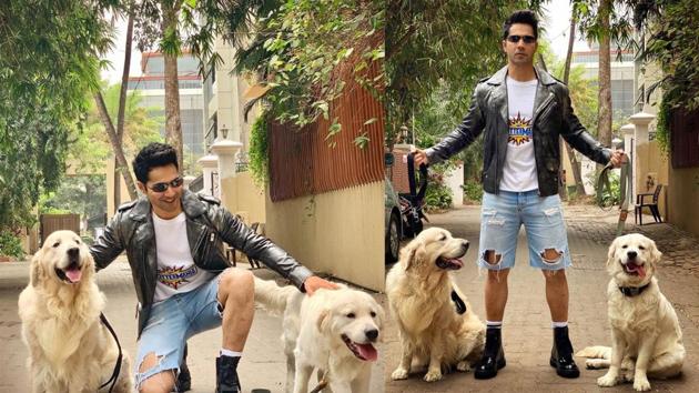 Varun Dhawan poses with dogs.