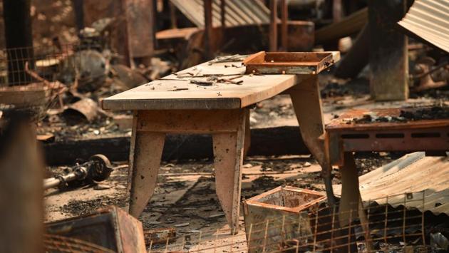 “Many countries have gone through natural disasters on the sort of scale we’re seeing with the Australian bushfires now and have bounced back pretty effectively -- when they’ve got their strategies right,” tourism expert Beirman said, pointing to Japan’s recovery in the wake of the 2011 tsunami and nuclear disaster. “I’m sure that people will come,” said Nathan from Mogo. “But please, just give us a few days’ breathing space. That’s all.” (Holly Robertson / AFP) “Many countries have gone through natural disasters on the sort of scale we’re seeing with the Australian bushfires now and have bounced back pretty effectively -- when they’ve got their strategies right,” tourism expert Beirman said, pointing to Japan’s recovery in the wake of the 2011 tsunami and nuclear disaster. “I’m sure that people will come,” said Nathan from Mogo. “But please, just give us a few days’ breathing space. That’s all.” (Holly Robertson / AFP)