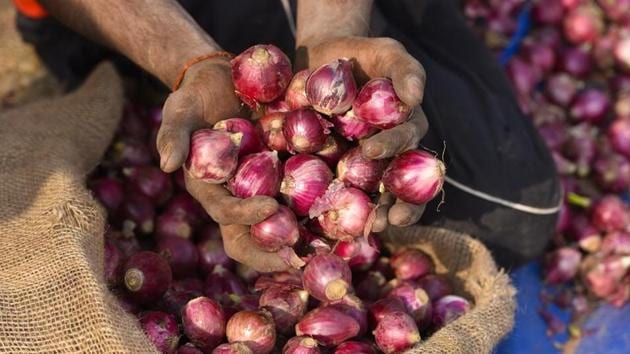 According to estimates of the agriculture ministry, surplus rains have damaged 25% of the summer onion crop in Maharashtra and Karnataka.(Burhaan Kinu/HT PHOTO)