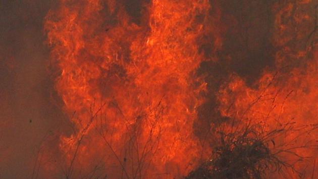 The deceased Guddu Singh, 50, and his wife Sunita, 38, came to Badlapur from Delhi on January 2 to sell their flat. On January 5, the police found Singh’s charred body inside the flat.(AP Photo/Representative Purposes Only) The deceased Guddu Singh, 50, and his wife Sunita, 38, came to Badlapur from Delhi on January 2 to sell their flat. On January 5, the police found Singh’s charred body inside the flat.(AP Photo/Representative Purposes Only)